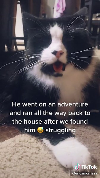 Erica Morris (@ericamorris22)’s videos with Fat -