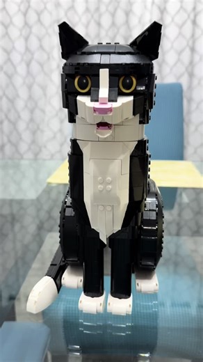 Snickers has a new friend! #CatTok #catlife #lego #tuxedocat #furbaby