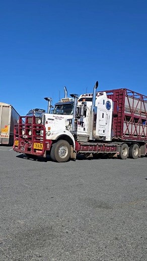 MFT Hughenden Rawhide Ranger | Ray Lawrence Photography