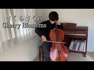 “さくらさくら Sakura Sakura” (Cherry Blossoms) - Japanese Traditional Music by Cello Solo