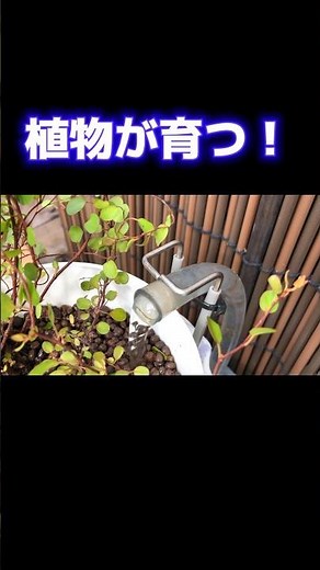 100均本格ろ過装置製作！ 水槽 金魚 アクアリウム アクアポニックス