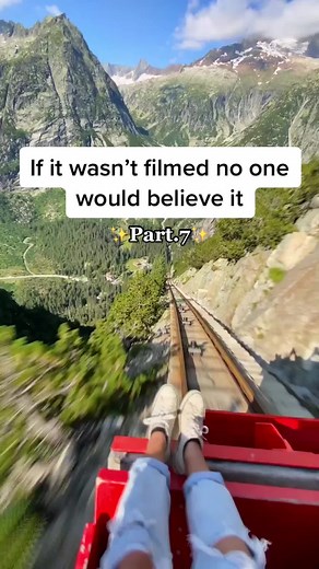 Mouse Pretends to be Dead - Unbelievable Encounter