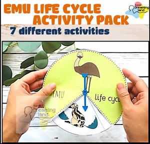 Australian Animals | Emu life cycle facts | Emu life cycle activity pack