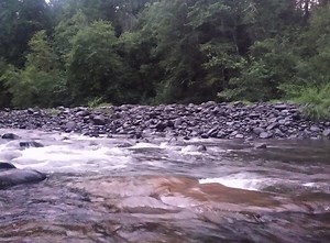 Gold Panning in the Molalla River Recreation Area - RareGoldNuggets.com