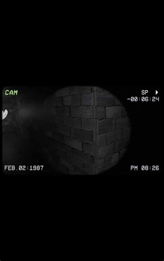 the backrooms found footage level 6 (part 2)