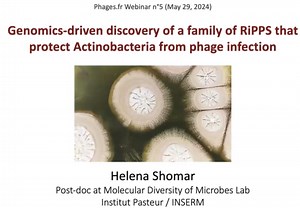 Genomics-driven discovery of a family of RiPPs that protect Actinobacteria from phage infection | Canal U