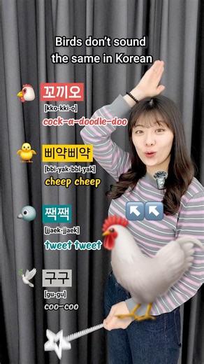 Birds Don’t Sound the Same in Korean 🇰🇷 #korean