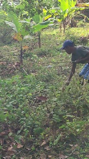 MGA MASISIPAG NA KASAMA SA FARM
