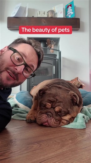 Indorex Home Spray is intended for indoor household use and can help protect indoor areas from fleas, ticks, and bugs when applied according to the instructions. It’s a no-nonsense spray that fits neatly into a normal home care routine. Straightforward to use, no special setup, just follow the directions and get on with your day. Ideal for use in everyday household areas where you want a simple, practical approach to home maintenance. Always read and follow the label instructions for safe use.