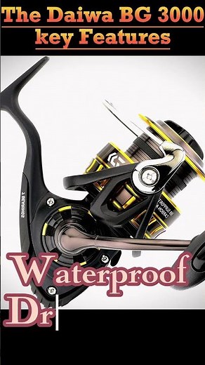 Daiwa BG 3000, a great reel for the bay .The key fature Review angling helper