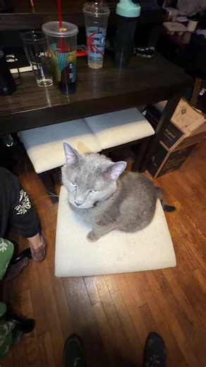 eradicate.extrinsicality (@eradicate.extrinsicality)’s videos with original sound - BringingTheNostalgia