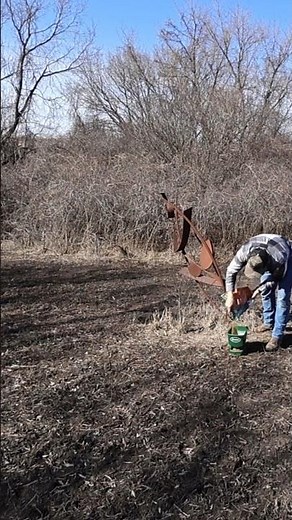 Planting Easy Spring Food Plots! 🍀 🦌 🦃 Clover, chicory and happy deer and turkey! #huntingland