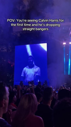 Calvin Harris Live Performance Highlights at Palm Tree Festival