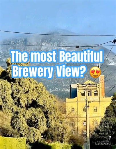 This has to be the most beautiful brewery view in the world! 🏔️🍻 #shorts #tasmania