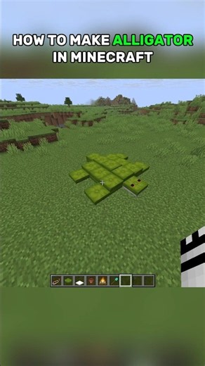 How to Make an Turtle in Minecraft