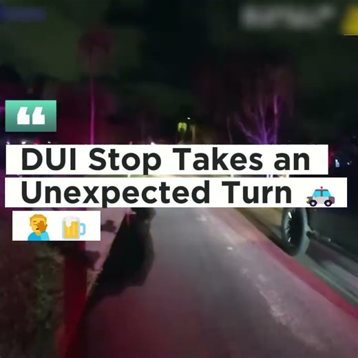 3.4K views · 18 reactions | A Traffic Stop Turns Into a Lesson on Poor Decision Making  After a crash, a driver’s choices during a police encounter quickly drew attention and led to further investigation. Watch to learn how actions during traffic stops are evaluated and why cooperation can change outcomes. #DUIAwareness #RoadSafety #LegalEducation #PublicSafety | Code 360 | Facebook