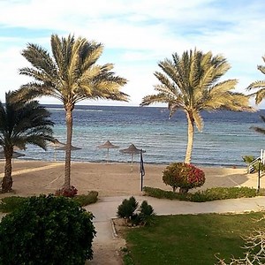 Royal Brayka Marsa Alam. | Brayka Resorts