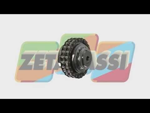 TORQUE LIMITER WITH CHAIN COUPLING