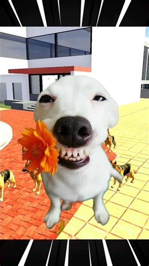 Indian bike driving 3d dog magic ✨😱#shorts #gaming