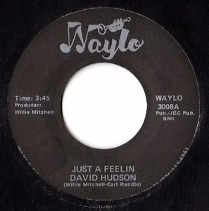David Hudson - Just A Feelin'