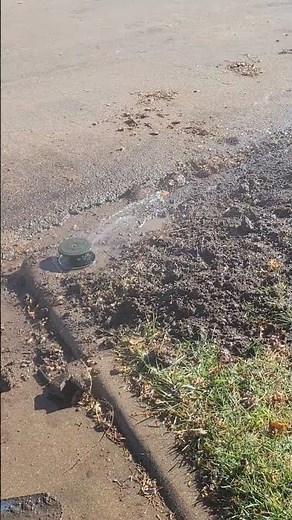 2025 Vintage 15111A Rain Bird Installation! #irrigationsystem