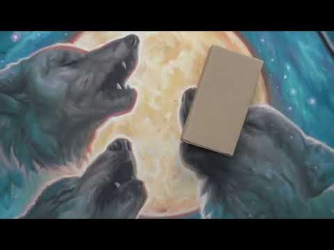 AliExpress Camera Equipment UNBOXING #2!!!