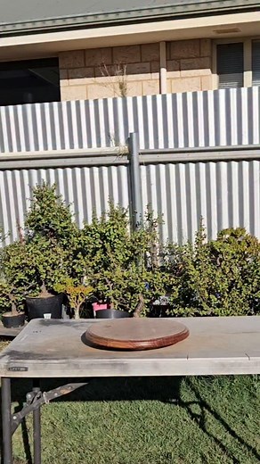 2K views · 131 reactions | A Journey Of Growth At the end of autumn...