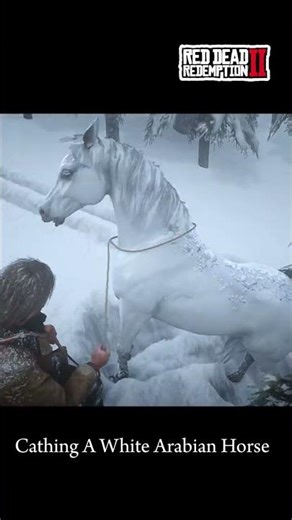 How to Catch the White Arabian Horse in RDR2 | Best Horse Location & Taming Guide