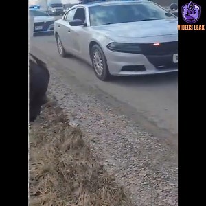 665K views · 6.5K reactions | How To Refuse A DUI Test Cop Gets Owned And Dismissed | Mix, Fix & Go | Facebook