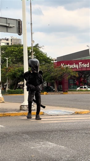 Aavistamiento Alien en Villahermosa ¿Lo han visto en la ciudad? #alien #alienearth #fyp