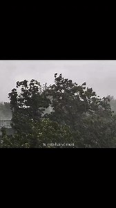 "Ehsaas" is a masterpiece song 😌🤍🌼 | 𝙃𝙚𝙖𝙧𝙩 𝙏𝙤𝙪𝙘𝙝𝙞𝙣𝙜 𝙇𝙤𝙫𝙚