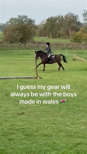 Discover the Welsh Pony Love