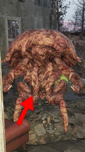 Where To Find MIRELURKS In FALLOUT 76