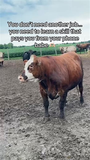 If you need somewhere to just start this is for you🫶 Not everyone wants to learn a bunch of different income streams right away. Or maybe they can’t afford to, but still need somewhere to start. And not everyone wants to be on social media or put themselves out there.🤷🏼‍♀️ Some people just want something that feels simple, doable, and behind the scenes and that’s okay 🩷 COMMENT START ⬇️ if you want to know how #momtomom #mompreneur #farmwifelife #momsoftiktok