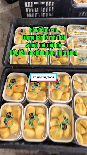 6h30 ngày 13/9/2026 – Cập nhật thị trường mít! Mọi người hãy thử đếm trong video này xem khách mua lẻ lựa chọn mít Thái hay mít ruột đỏ nhiều hơn nhé! Ngày 11/9, mít ruột đỏ bất ngờ tăng giá rất mạnh. Nhưng chỉ một ngày sau, giá lại đảo chiều giảm gần về mức cũ. Điều này cho thấy thị trường hiện tại vẫn chưa thực sự ổn định và sức mua bên Trung Quốc chưa đủ mạnh. Qua những đợt giá tăng giảm rất nhanh như thế này, chúng ta cũng thấy anh em lái mít và những khách hàng đầu tư mua mít sang Trung Quố