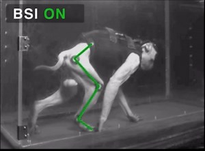 Monkeys Regain Control Of Paralyzed Legs With Help Of An Implant