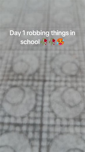 Understanding Consequences of School Theft