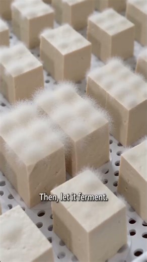 How to Make Homemade Chinese Fermented Tofu (Hairy Tofu) | Easy 10-Step Recipe #chinesefood