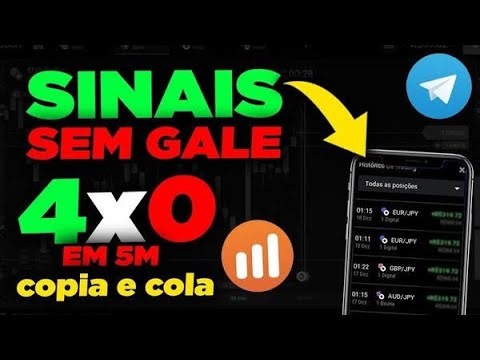 Wolves sinais Grátis - Quotex ao vivo