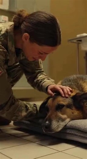 Unspoken Bonds Highlights the deep connection that doesn't need words😢 #military #k9 #dog #army #trending
