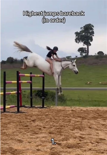 Tag the first one🫶 @Scarlet Hart 🇦🇺 @Isobel Bevitt 💋 #fyp #showjumping #viral #bareback #makemefamous