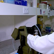 Free-Floating Slice Cultures from Adult Human - JoVE Journal