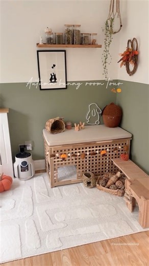 Autumn Bunny Room Tour 🐰🍂🎃 | Indoor Rabbits | Free Roam Bunny | Rabbit Setup