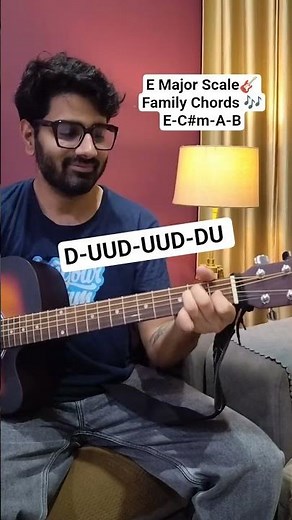 E Major Family Chords | Learn All Chords in E Major 🎸 #shorts
