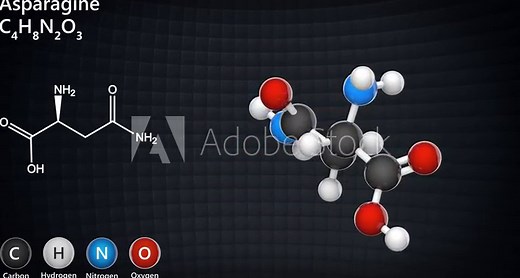 Asparagine (symbol Asn or N), is an amino acid that is used in the biosynthesis of proteins. Formula: C4H8N2O3. 3D render. Seamless loop. Chemical structure model: Ball and Stick.