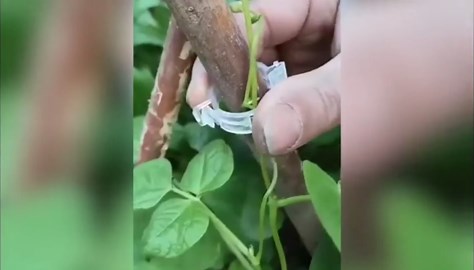 Amazon.com: Contractor and Client Relations to Assure Process Safety: 9780816906673: Early II, William F.: Libros