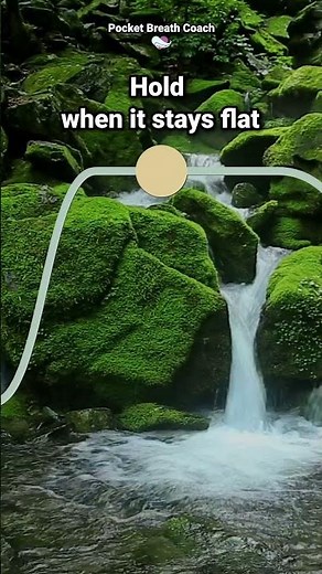 4-7-8 Breathing Exercise (Guided)