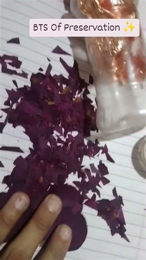 The Best Viral Trends, Compilations & Highlights#shorts#diy