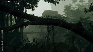 Roots of exotic trees with thicket of shrubs and ferns against sunlight breaking through dense foliage