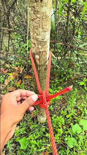 Strongest Tree Rope Knot in 30 Seconds 🌳 | Easy & Secure Knot Tutorial #survival #knot #lifehacks